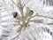 Germany Crystal Snowball Sputnik Chandelier from Palwa, 1960s, Image 4