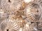 Germany Crystal Snowball Sputnik Chandelier from Palwa, 1960s, Image 7