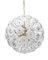 Germany Crystal Snowball Sputnik Chandelier from Palwa, 1960s, Image 2