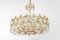 Large Gilt Brass Chandelier attributed to Palwa for Sciolari, Germany, 1970s 2