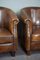 Sheep Leather Club Armchairs, Set of 2 3