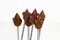 Teak Aperitif Service Set from Rostfrei, Set of 7, Image 8