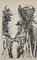 Pino della Selva, Trees, Original Charcoal Drawing, Early 20th Century 1