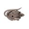 Mouse vintage in argento, Regno Unito, Immagine 5