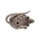 Vintage English Silver Mouse 5