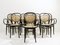 Model Nr. 15 Armchairs in Black Wood and Cane from Thonet, 1900s, Set of 8, Image 12