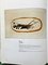 Georges Braque, La Charreu, Original Lithographie, Signiert & Limitiert 7