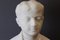 Busto de hombre joven, 1931, mármol de Carrara, Imagen 3
