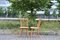 WKS Series Dining Chairs by Arno Lambrecht for Wk Möbel, 1950s, Set of 4, Image 6