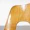 Honey Beech Model 515 Side Chairs attributed to Oswald Haerdtl, 1950s, Set of 6, Image 3