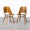 Honey Beech Dining Chairs by Radomir Hoffman, 1950s, Set of 2 1