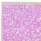 CF BPG1 Pink Mutation Rug by Caturegli Formica 3