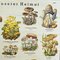 Vintage Mushrooms of Europe Overview Wall Chart, 1970s, Image 3