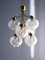 Mid-Century Cebula Chandelier with Six Arms, 1960 1