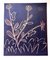 Pablo Picasso, Flowers / Plante aux Toritos, Original Linocut, 1962 1