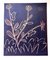 Pablo Picasso, Flowers / Plante aux Toritos, Original Linocut, 1962, Image 1