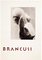 Brancusi Poster mit Skulptur Fotografie, 1953, Lithographie 1