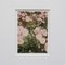 David Urbano, The Rose Garden, 2017, Photographic Giclee Prints, Framed, Set of 9 12