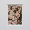 Stampe fotografiche di David Urbano, The Rose Garden, 2017, con cornice, set di 9, Immagine 16