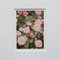 Stampe fotografiche di David Urbano, The Rose Garden, 2017, con cornice, set di 9, Immagine 18