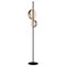 Superluna Floor Lamp in Brass by Victor Vaisilev for Oluce 1