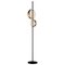 Superluna Floor Lamp in Brass by Victor Vaisilev for Oluce 5