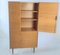 Mid-Century Czechoslovakian Linen Cabinet from Up Závody, 1960s 8