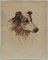 Frederick Roe, Porträt eines Collie-Hundes, 1920-1930, Aquarell 5