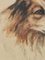 Frederick Roe, Portrait of Collie Dog, 1920-1930, Watercolor 3