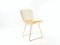 Vintage Model 420 Gilded Chair by Harry Bertoia for Knoll Inc., 2000s 11