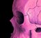 Mr Strange, Pink Skull, 2021, Giclée Druck auf Aludibond Platte 3