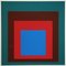 After Josef Albers, Homage to the Square: Protected Blue, 1977, Serigrafia, Immagine 1