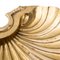 Large Centrepiece Shell in Brass 5