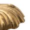 Large Centrepiece Shell in Brass 9