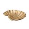 Large Centrepiece Shell in Brass 2