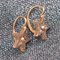 19th Century French Pearl 18 Karat Rose Gold Lever-Back Star Earrings, Set of 2 9