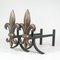 Art Deco Fleur de Lys Bronze Fireplace Andirons, France, 1920s, Set of 2 17