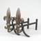 Chenets de Cheminée Art Déco Fleur de Lys en Bronze, France, 1920s, Set de 2 3