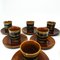 Tiger Coffee by A. Sadulski for Mirostowice Pottery, Polska, 1960s, Set of 14 12