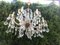 Large Crystal Hand.Cut Maria Chandelier, 1940s / 50s 4