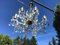 Large Crystal Hand.Cut Maria Chandelier, 1940s / 50s, Image 27