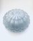 Large Frosted Flower Glass Sconce Wall Lamp from MCM, 1960s, Image 1