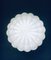 Large Frosted Flower Glass Sconce Wall Lamp from MCM, 1960s, Image 4