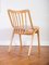 Mid-Century Czechoslovakian Dining Chair in Bentwood from Ton, 1970s 2