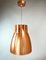 Italian Drake Pendant Lamp by Vincenzo Missanelli for Chandra, 2006 16