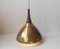 Mid-Century Modern Scandinavian Solid Brass & Rosewood Pendant Lamp, 1950s 6