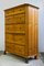 Antique Swedish Chest of Drawers with Lions Feet, 1890s 14