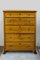 Antique Swedish Chest of Drawers with Lions Feet, 1890s 1