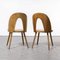 Dining Chairs by Antonin Suman for Ton, 1960s, Set of 2 7