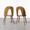 Dining Chairs by Antonin Suman for Ton, 1960s, Set of 2, Image 7